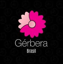 Gerbera Brasil